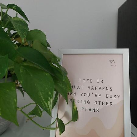 Sara'S Apartment Barcelona 埃普拉特约布里加 外观 照片